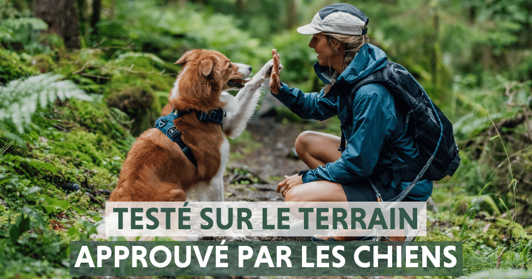 Ruffwear - testé sur le terrain